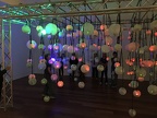 IMG 0218